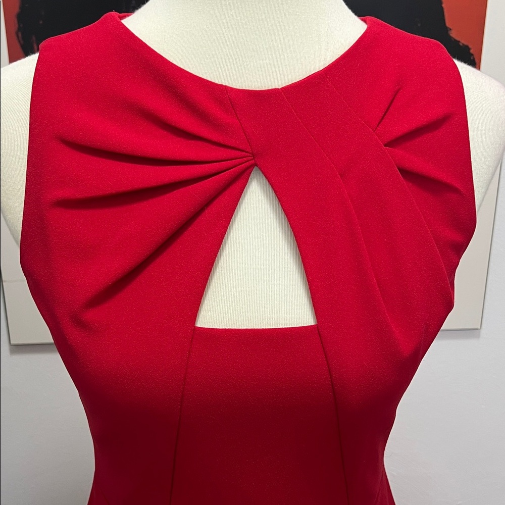 Red Cut Out Calvin Klein Dress - Picture 3 of 9